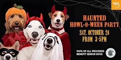 Haunted Howl-o-ween Party for Dogs at Wag Hotels Redwood City