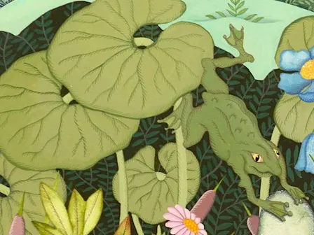 Frogs!