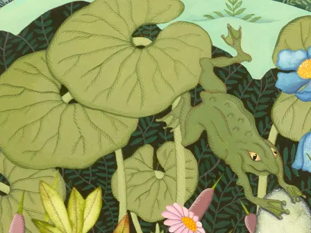 Frogs!