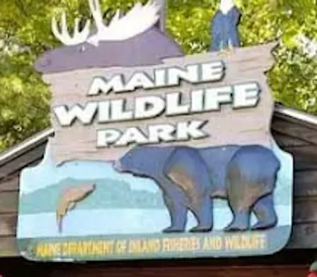 Family Adventure: Maine Wildlife Park Discovery Quest