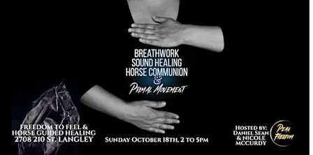 Breath, Sound & Horse Communion