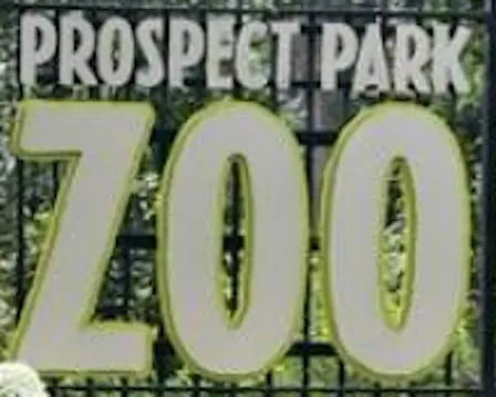 Family Adventure: Prospect Park Zoo Brooklyn Quest