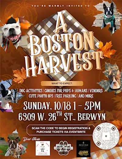 A Boston Harvest