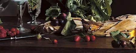 Kuratorinnen-Führung Vera Mercer "still life - life still"