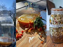 Winter Herbal Remedy Workshop | Gweithdy Meddyginiaethau Llysieuol y Gaeaf