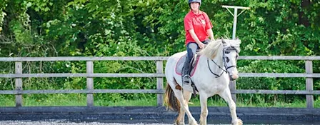 Christmas Showjumping Event