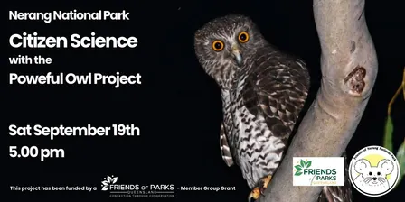 Citzen science with the Powerful Owl Project
