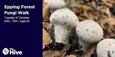 Epping Forest Fungi Walk