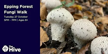 Epping Forest Fungi Walk