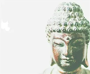 Meditation Sessions