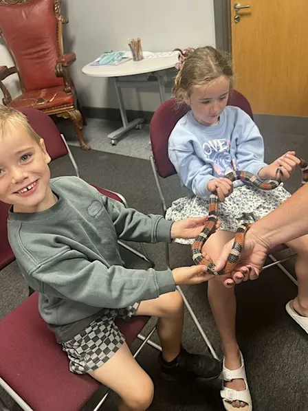 Frazoo: Curious Creatures (Handling Session)