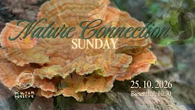 Nature Connection Sunday