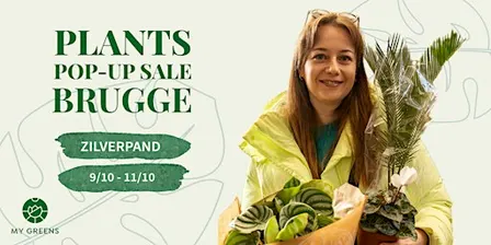 Planten Pop Up Sale Brugge: Zilverpand kleurt groen