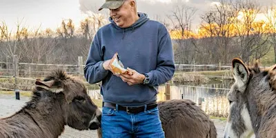 Sunset Donkey Encounter