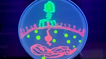 Saturday DNA! Passaic - Let It Glow!