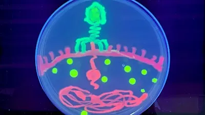 Saturday DNA! Passaic - Let It Glow!