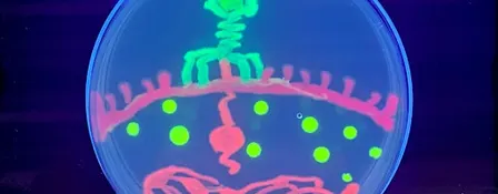 Saturday DNA! Passaic - Let It Glow!
