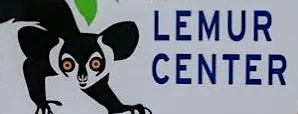 Family Adventure: Duke Lemur Adventure Quest