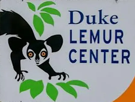Family Adventure: Duke Lemur Adventure Quest