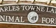 Family Adventure: Charles Towne Landing Animal Quest