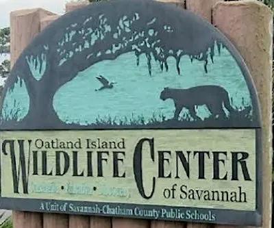 Family Adventure: Oatland Island Wildlife Discovery