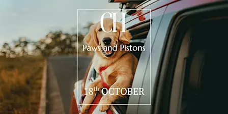 Paws and Pistons
