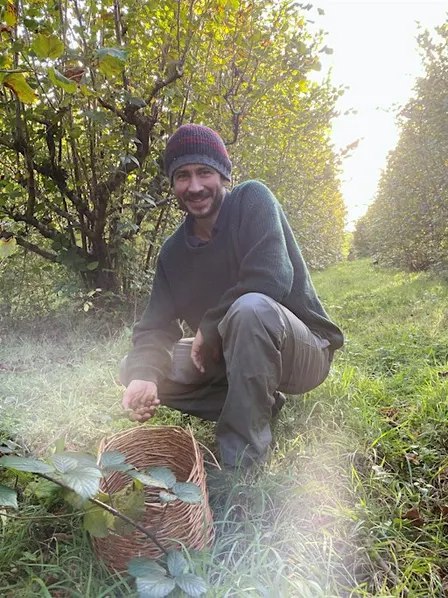 Tree Planting Experience Day - New Forest