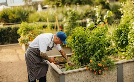 Garden-To-Table: Growing for the Chef