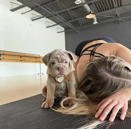 PUPPY YOGA DETROIT