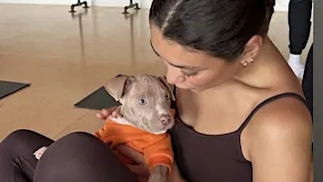 PUPPY YOGA DETROIT