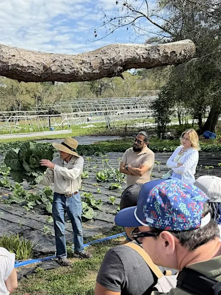 Organic Gardening Class: Essentials for Growing in Florida
