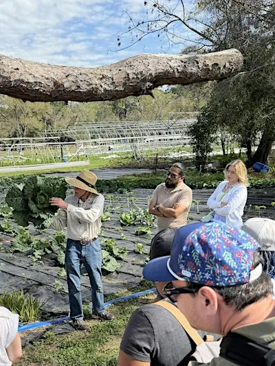 Organic Gardening Class: Essentials for Growing in Florida