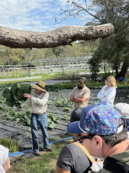 Organic Gardening Class: Essentials for Growing in Florida