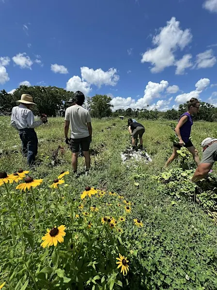 Organic Gardening Class: Bed Prep & Composting for Florida’s Growing Season