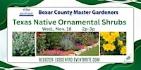 Texas Native Ornamental Shrubs for Your Landscape