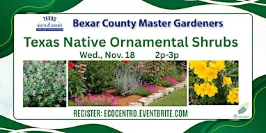 Texas Native Ornamental Shrubs for Your Landscape