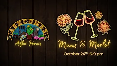 Mums & Merlot