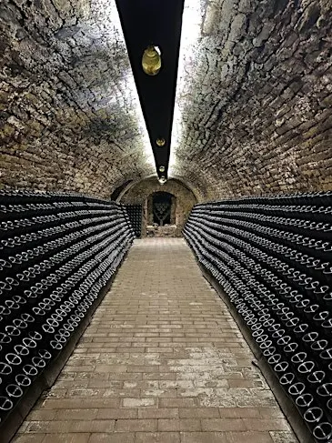 Champagne Brunch: Monovarietals