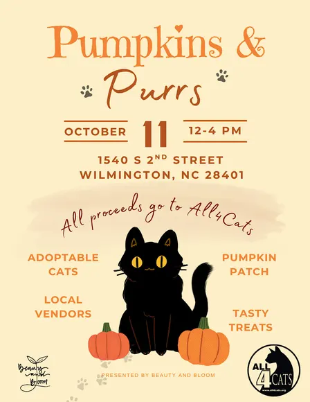Pumpkins & Purrs