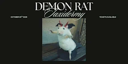 Demon Rat Taxidermy Workshop