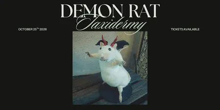 Demon Rat Taxidermy Workshop