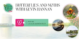 Butterflies and Moths With Kevin Hannan - Limerick Quimper Tree Festival