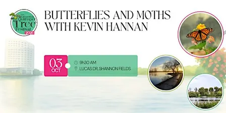 Butterflies and Moths With Kevin Hannan - Limerick Quimper Tree Festival