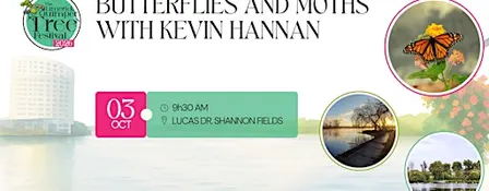Butterflies and Moths With Kevin Hannan - Limerick Quimper Tree Festival