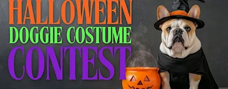 Halloween Doggie Costume Contest