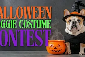 Halloween Doggie Costume Contest