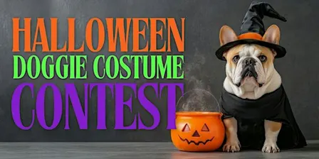 Halloween Doggie Costume Contest