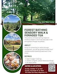Forest Bathing Sensory Walk & Foraged Tea