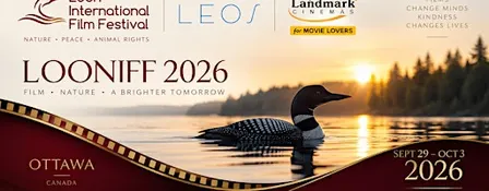 Loon International Film Festival 2026