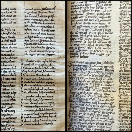 Dictaminal Attitudes: Transcribing and Compiling Peter of Blois
